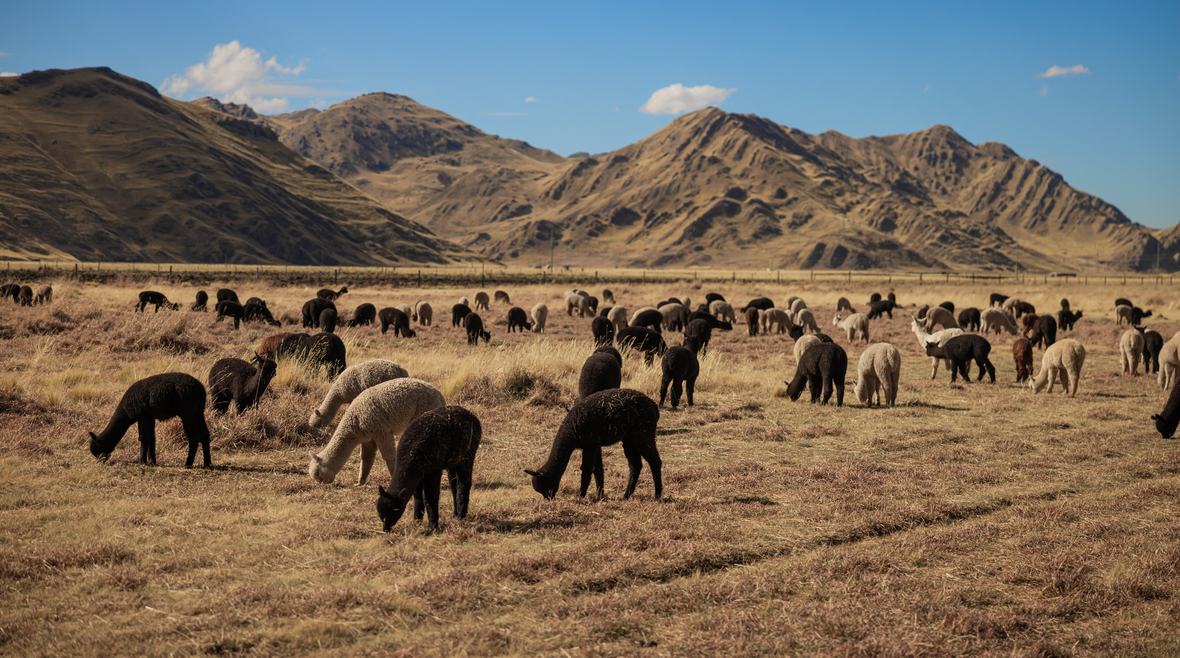 slider image slider_item_Qr7fCX